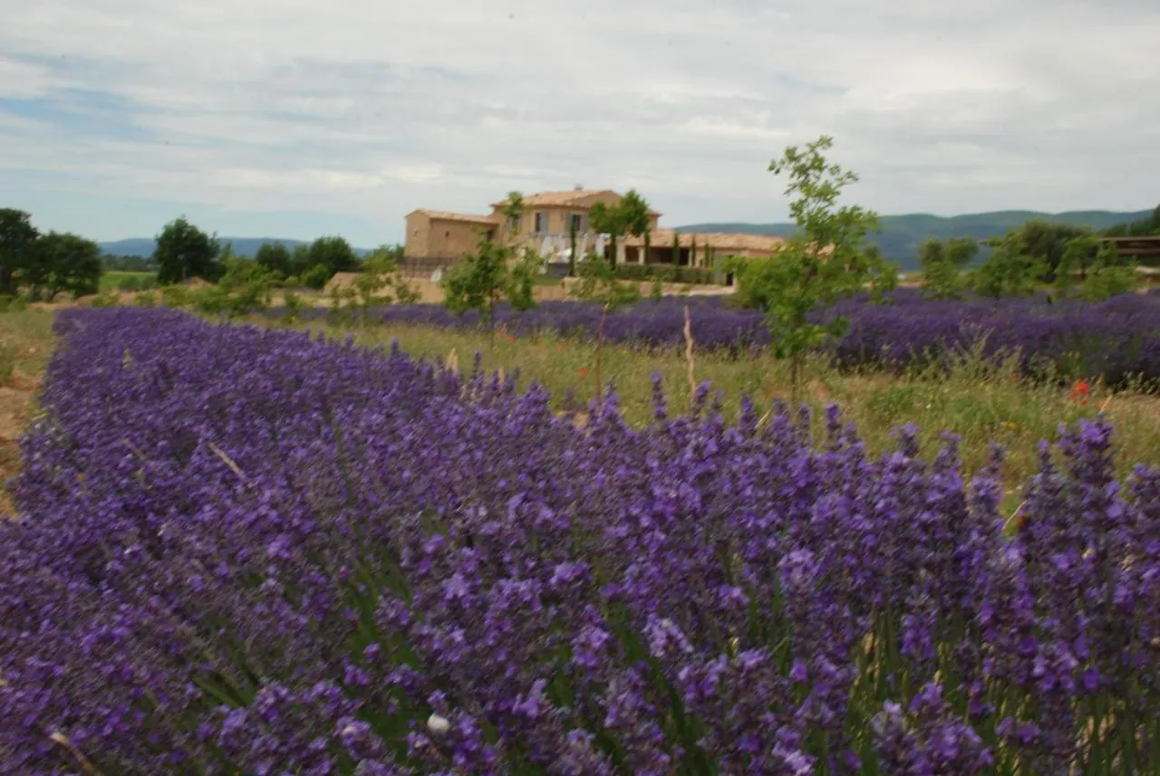 Bastide Saint Maurin Bed & Breakfast Ansouis