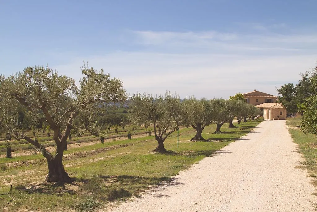 Bastide Saint Maurin Bed & Breakfast Ansouis